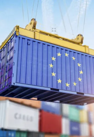 Blue shipping container with EU flag — customs clearance